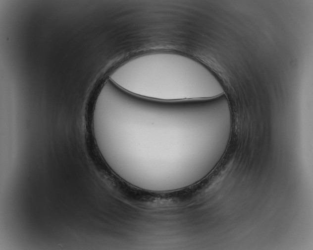 X0000096700256200802191454