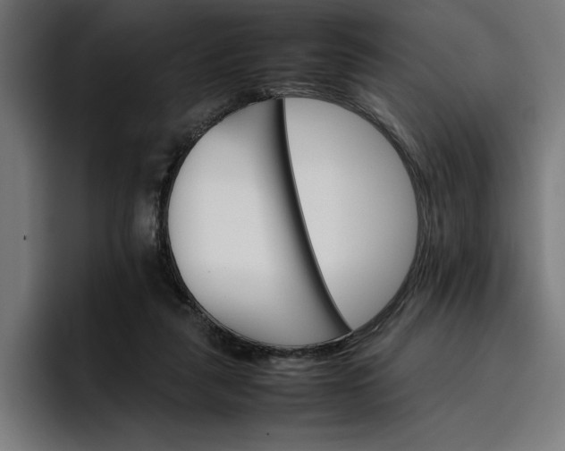 X0000096700259200802191454