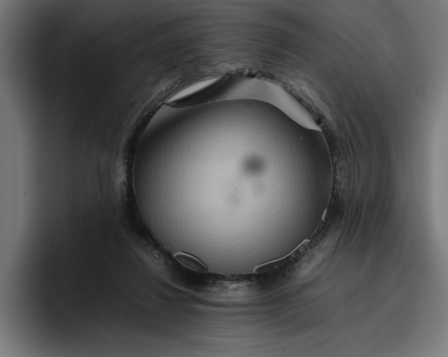 X0000096700260200802191454