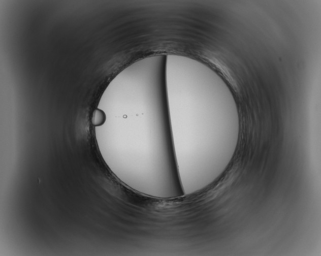 X0000096700261200802191454