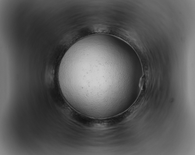 X0000096700263200802191454