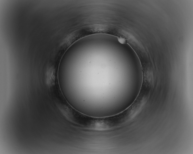 X0000096700264200802191454