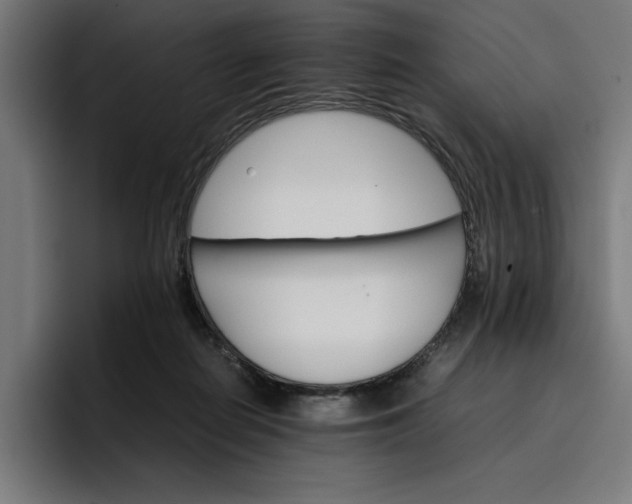 X0000096700266200802191454