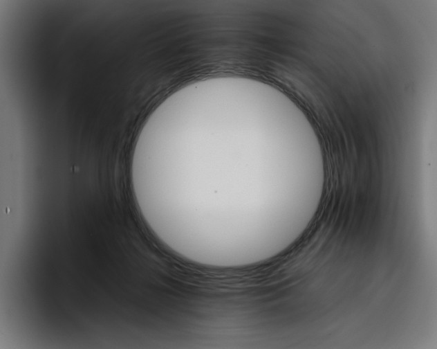 X0000096700268200802191454