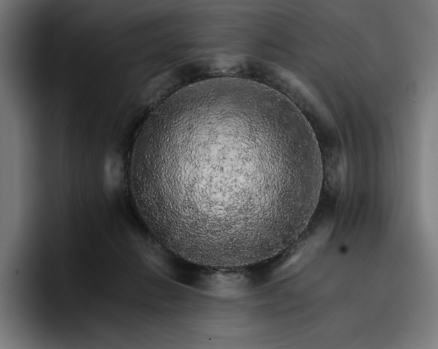 X0000096700270200802191454
