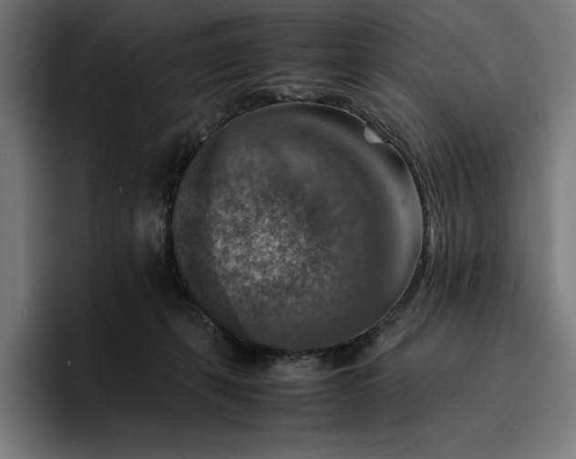 X0000096700271200802191454