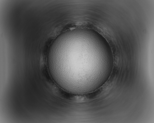 X0000096700272200802191454