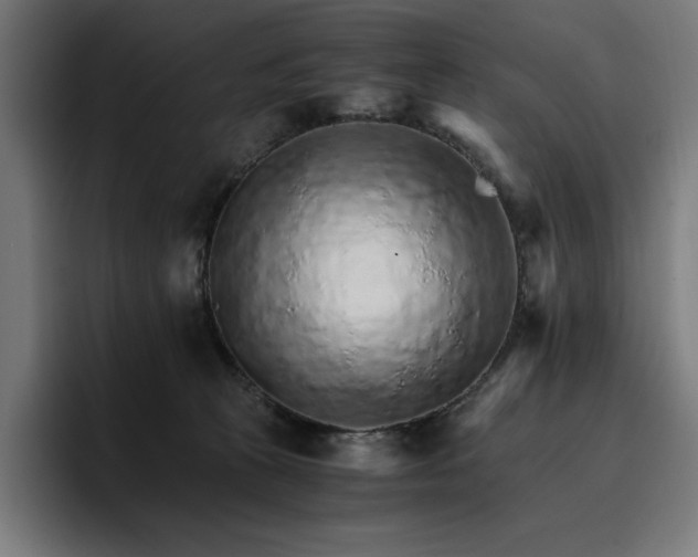 X0000096700273200802191454