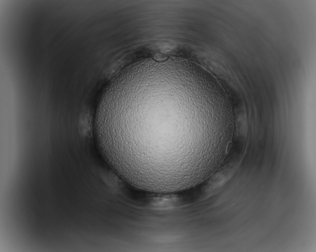 X0000096700274200802191454
