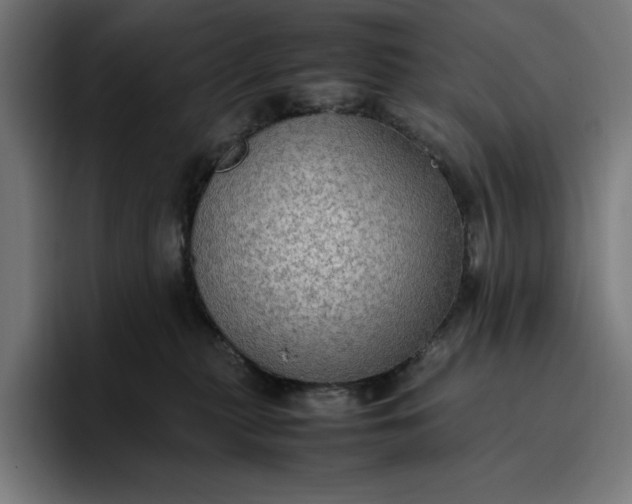 X0000096700279200802191454