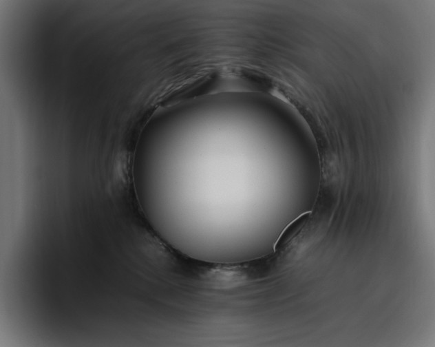 X0000096700280200802191454