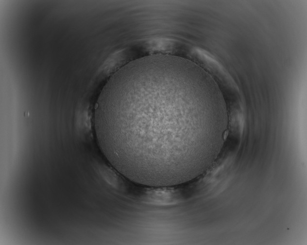 X0000096700282200802191454