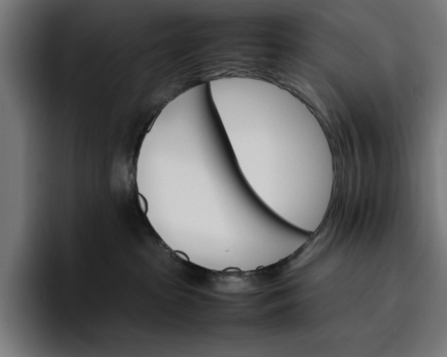 X0000096700285200802191454