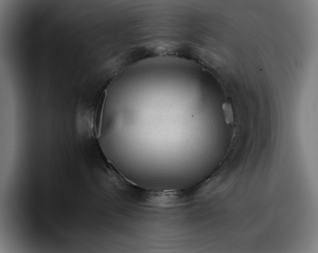 X0000096700288200802191454