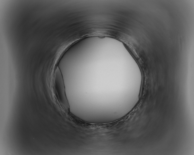 X0000096700289200802191454