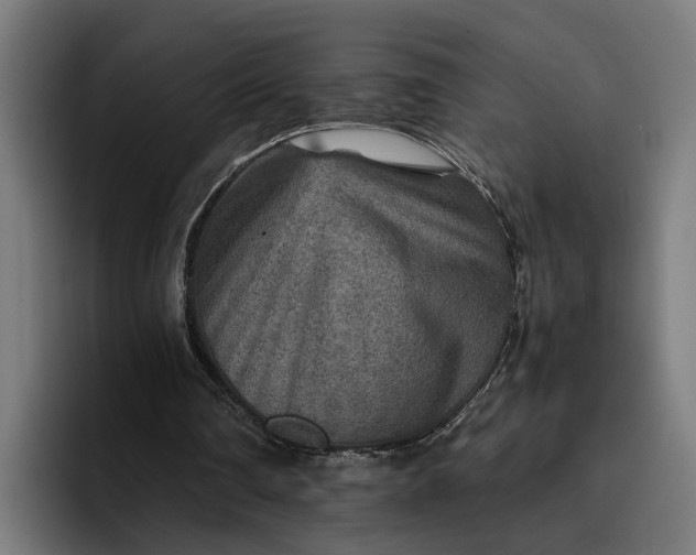 X0000096700290200802191454
