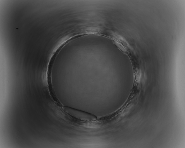 X0000096700292200802191454