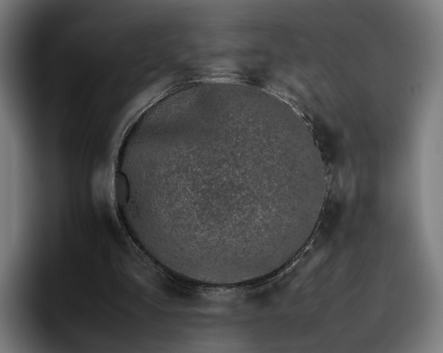 X0000096700293200802191454