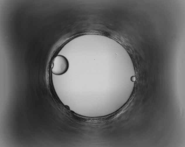 X0000096700294200802191454
