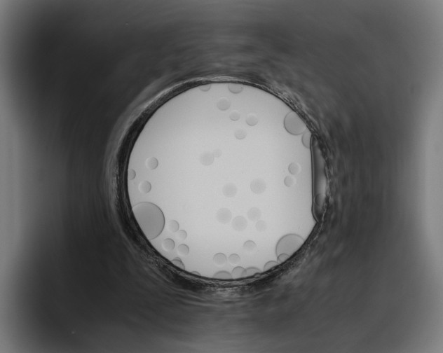 X0000096700295200802191454