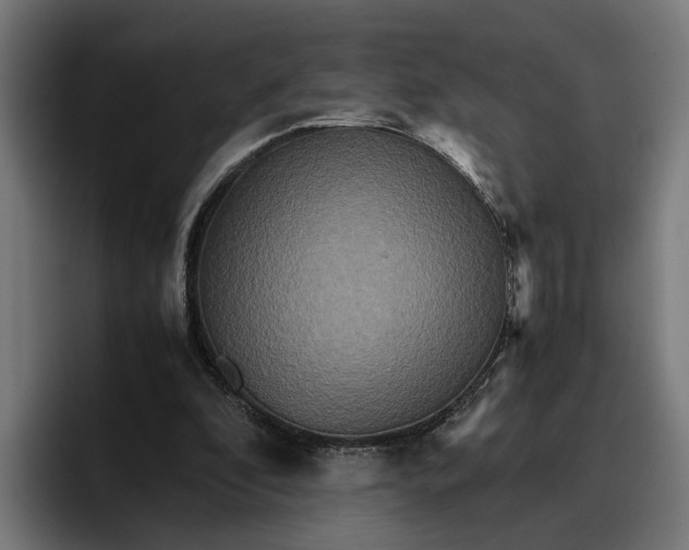 X0000096700296200802191454