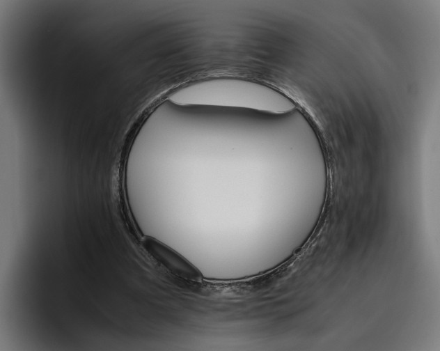 X0000096700297200802191454