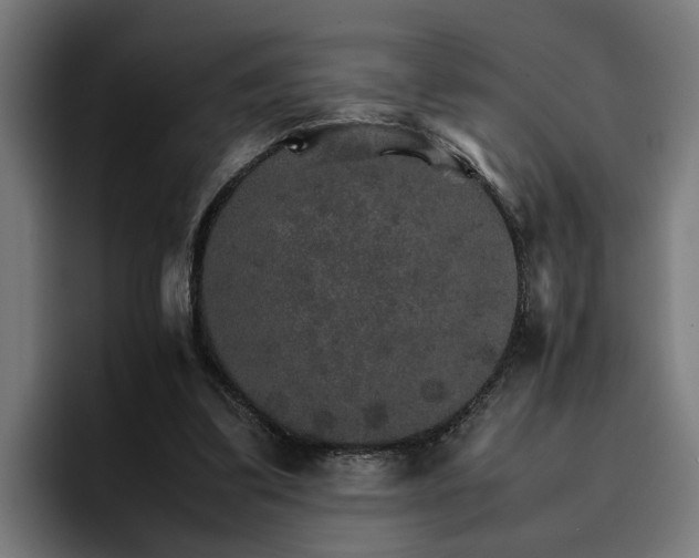 X0000096700299200802191453
