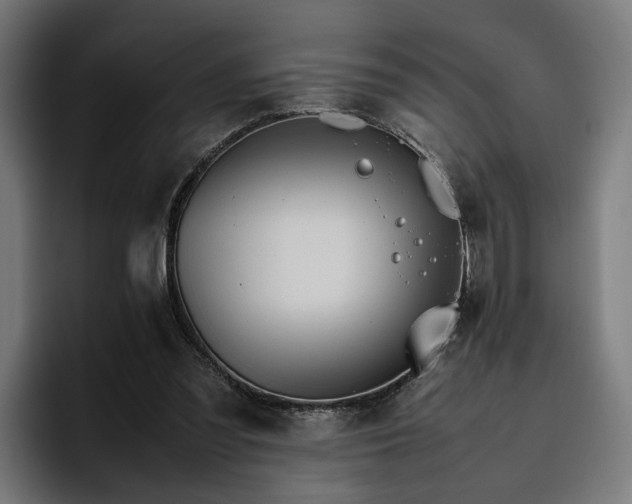 X0000096700301200802191453