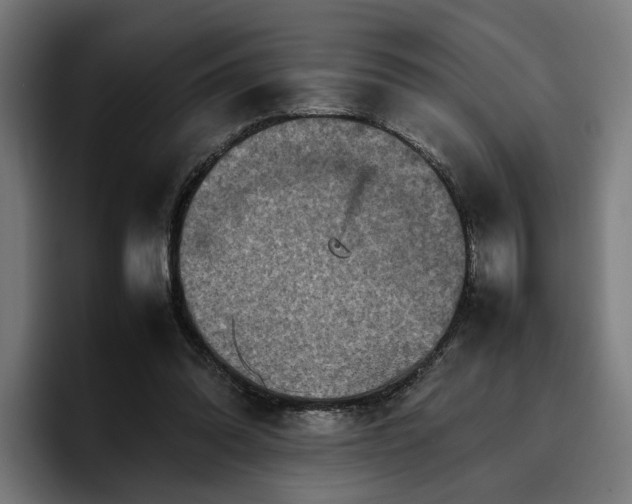 X0000096700302200802191453