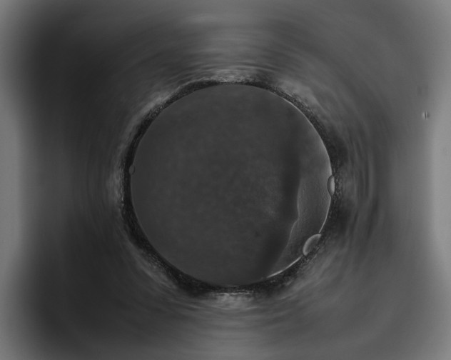 X0000096700303200802191453