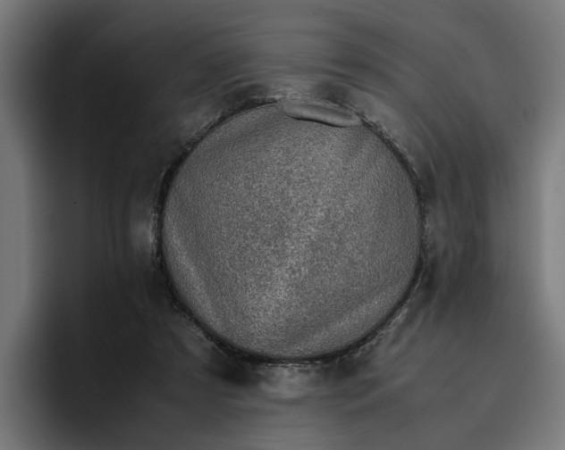 X0000096700305200802191453