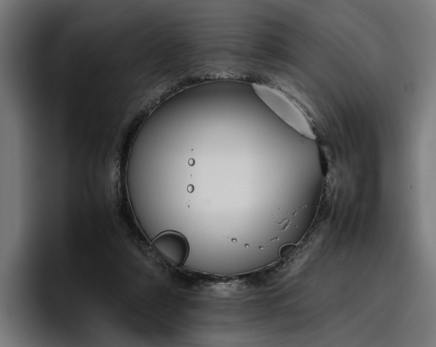 X0000096700306200802191453