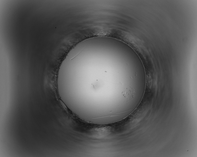 X0000096700307200802191453