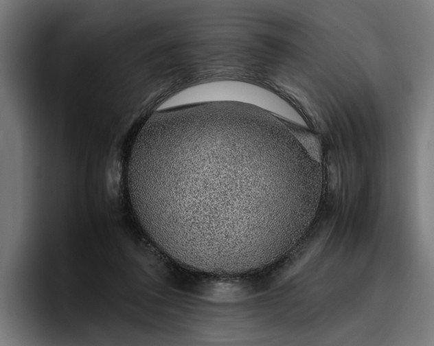 X0000096700308200802191453