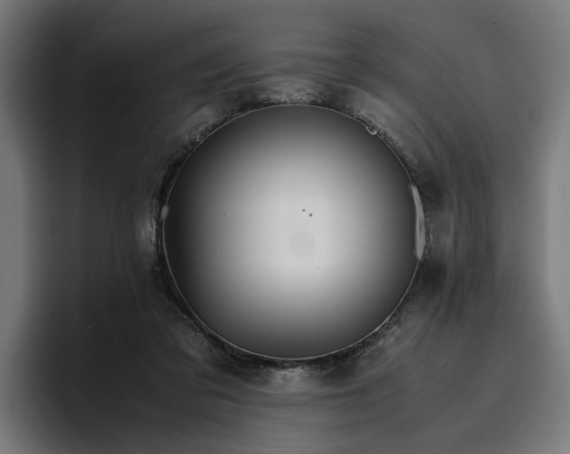 X0000096700309200802191453