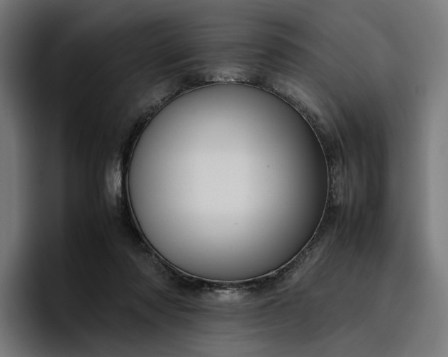 X0000096700310200802191453