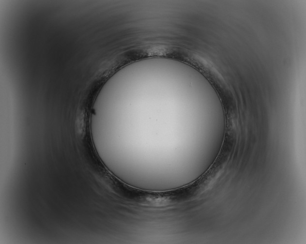 X0000096700311200802191453