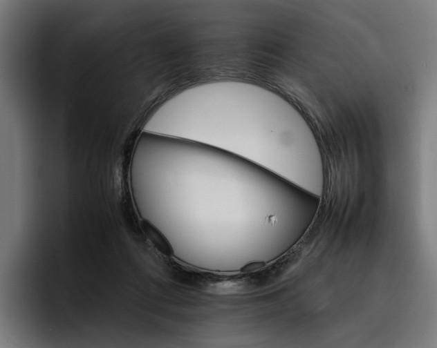 X0000096700312200802191453