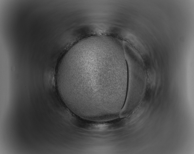 X0000096700313200802191453