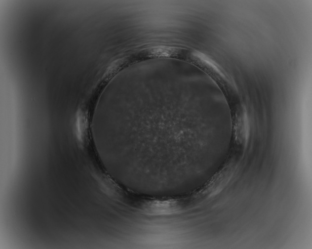 X0000096700314200802191453