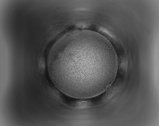 X0000096700315200802191453