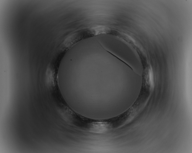 X0000096700316200802191453