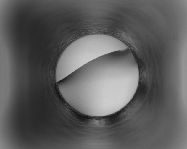 X0000096700317200802191453