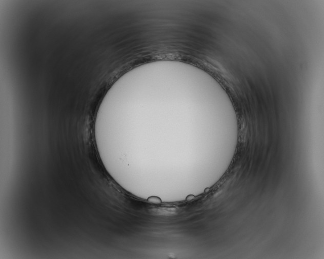 X0000096700318200802191453