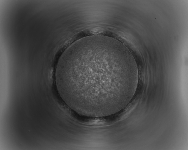 X0000096700319200802191453