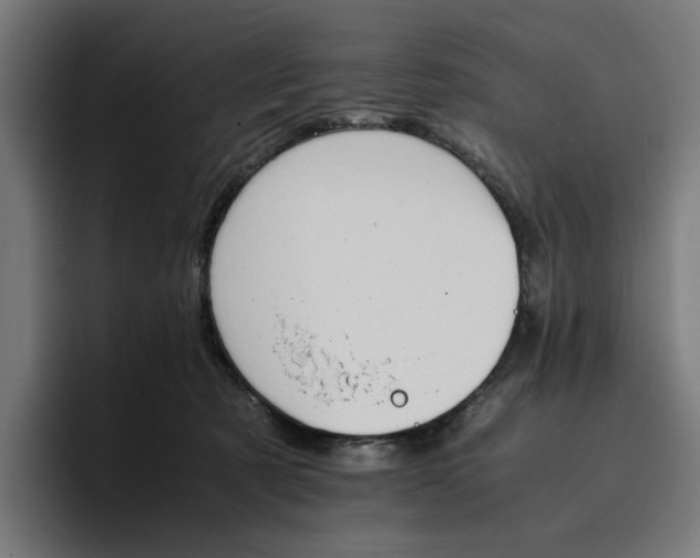 X0000096700321200802191453