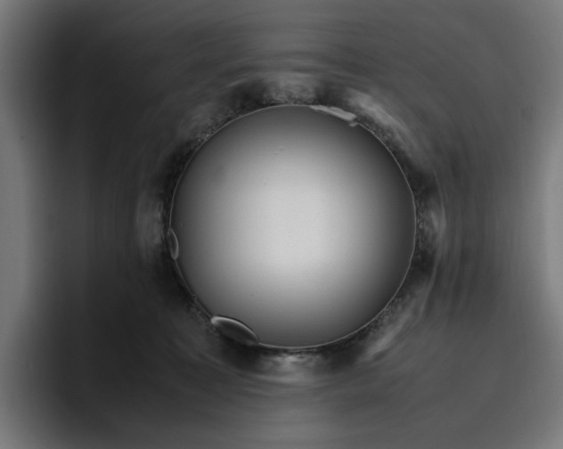 X0000096700323200802191453