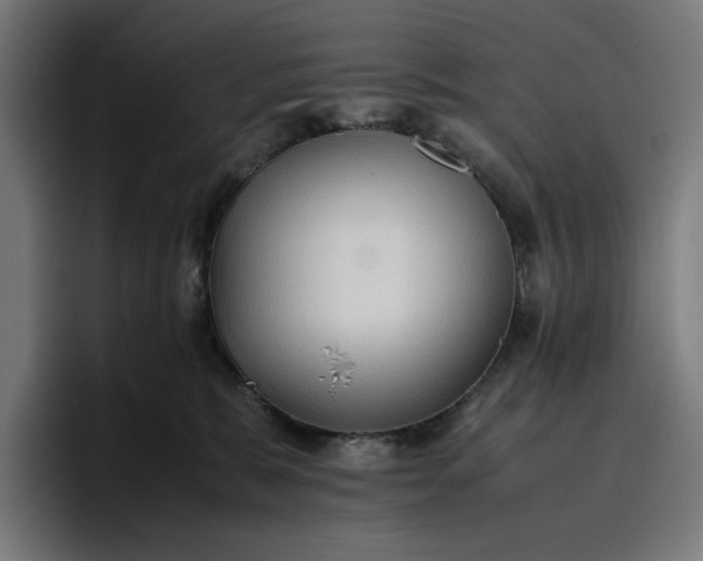 X0000096700327200802191453