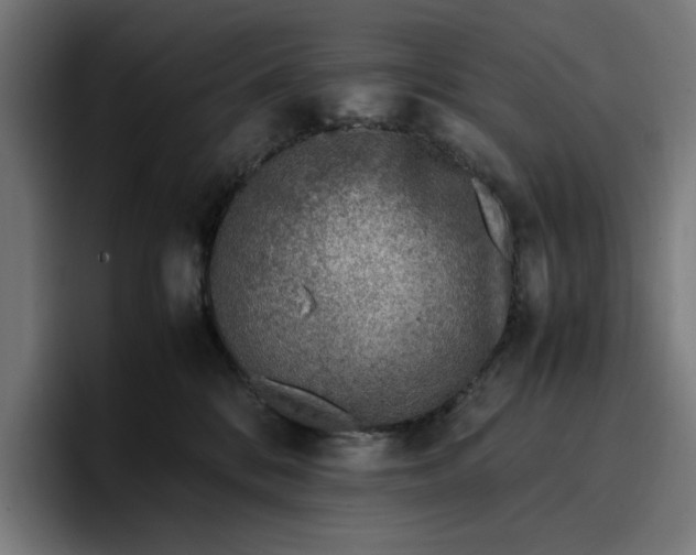 X0000096700328200802191453
