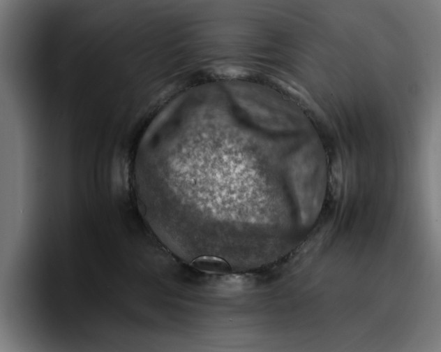 X0000096700330200802191453